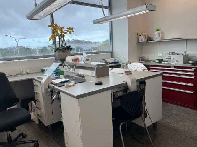 lab